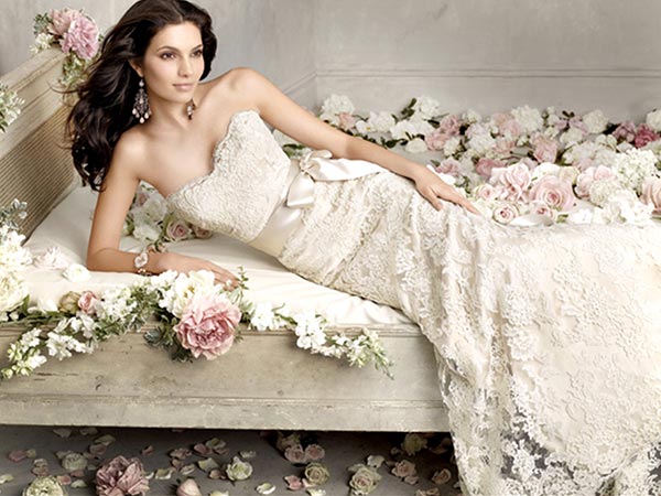 arabic wedding and en