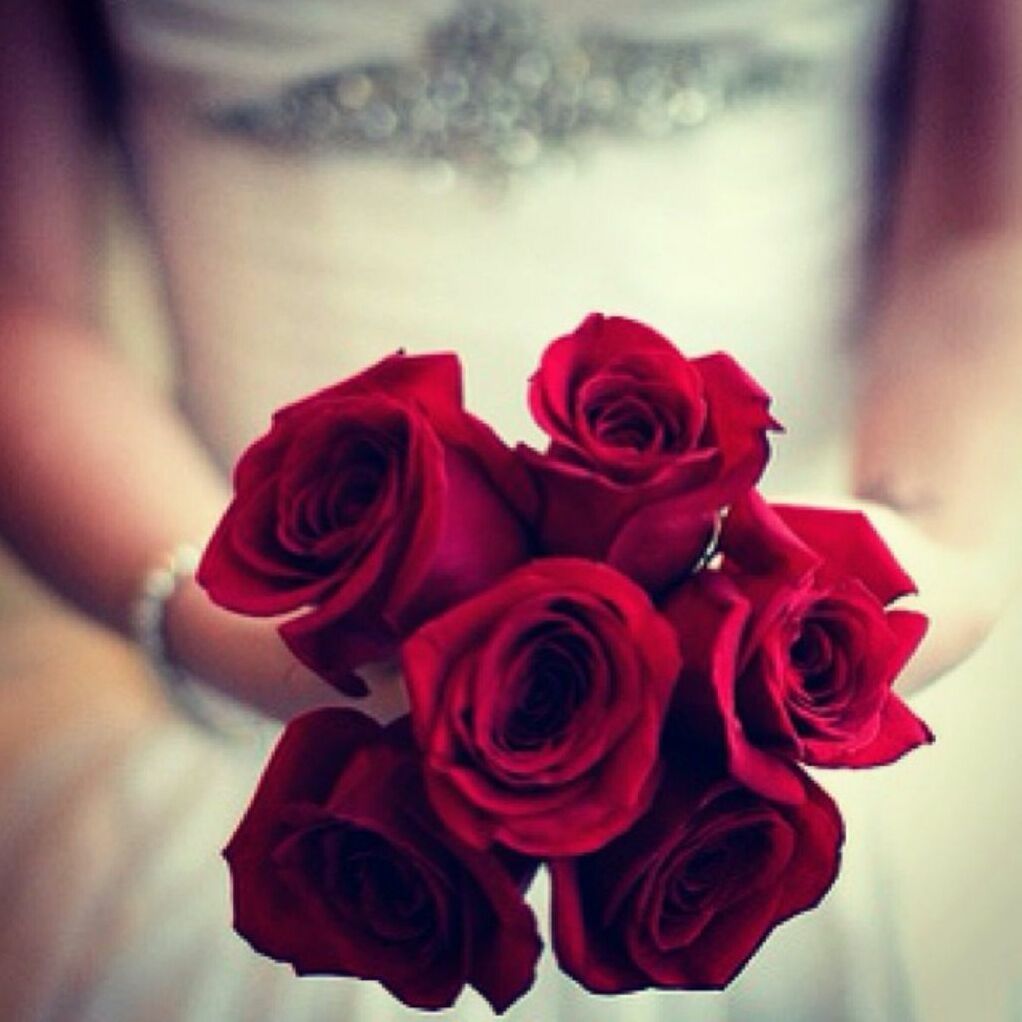 red roses, fashion, bride and luxury