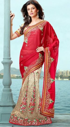bollywood saree, wedding saree and fashion