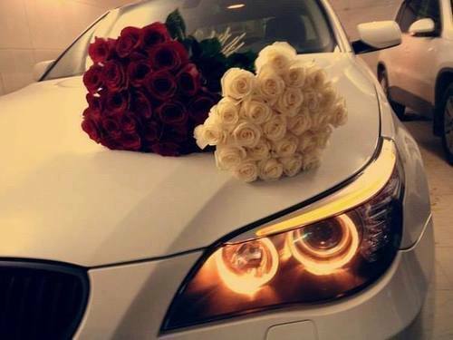 roses, adorable and lux