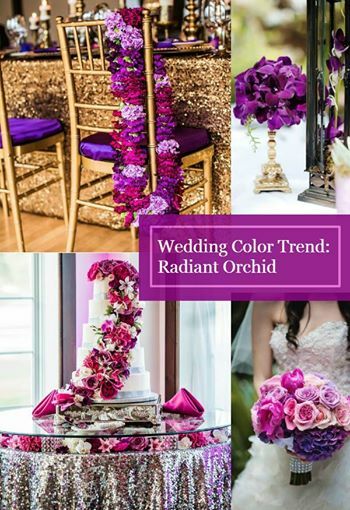 purple, wedding color and radiant orchid