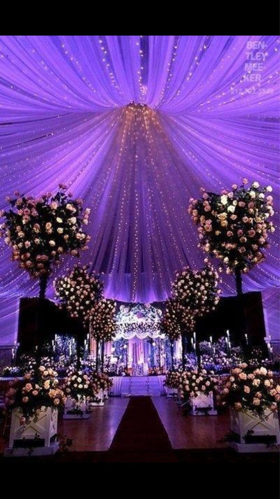 hall, lights, bushes and big