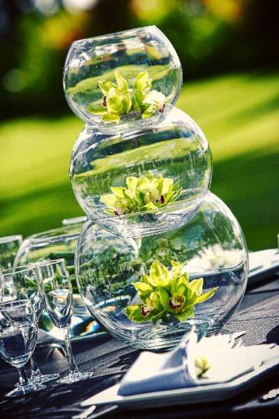 green, plants and glass