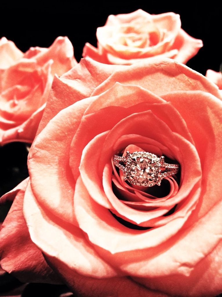 marriage, pink, someday and rose