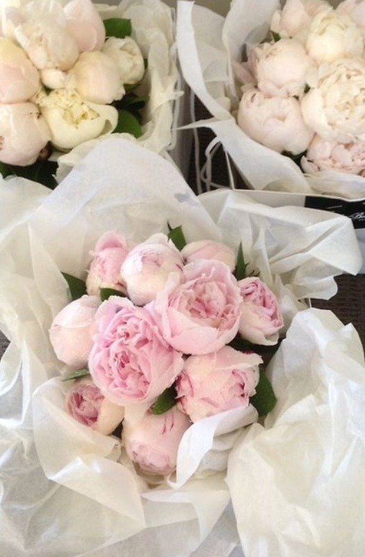 girly, flowers, floral and peonies