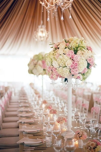 roses, party and Dream