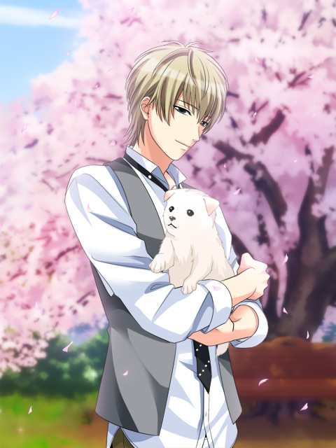 voltage inc, ren shibasaki, voltage and otome