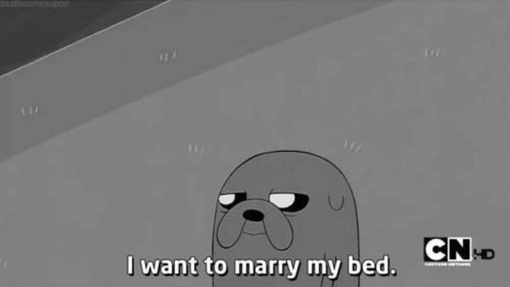 weddings, funny, jake the dog and bed