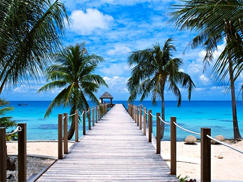 honeymoon, trees and place