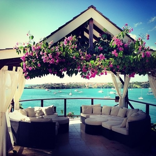romantic, flowers, beach and coast