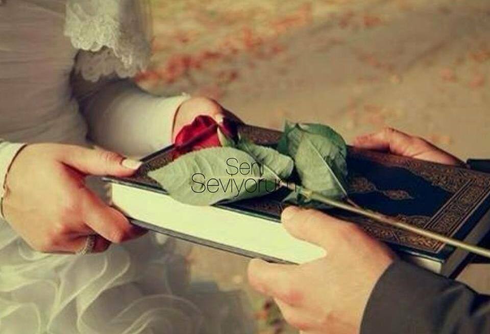 fall in love, rose, bridal and muslim