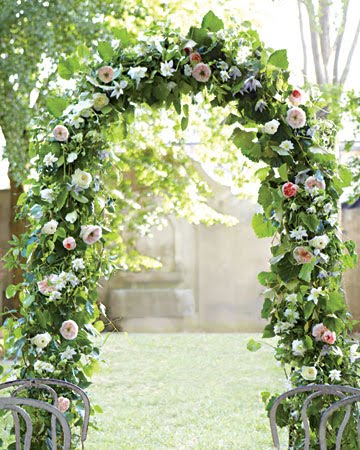 flower, arch and rose