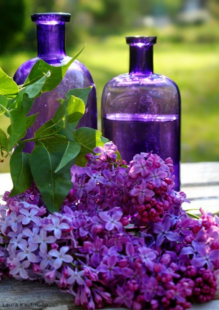 jar of roses, love, natural and roses