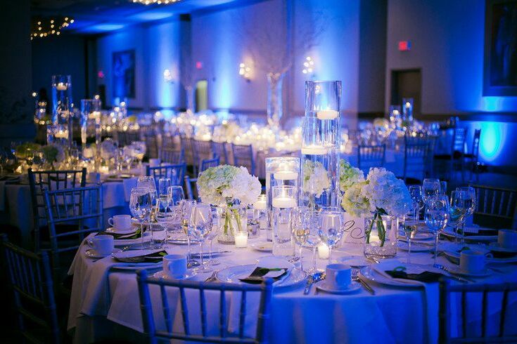 reception hall, food, garden decoration and wedding reception