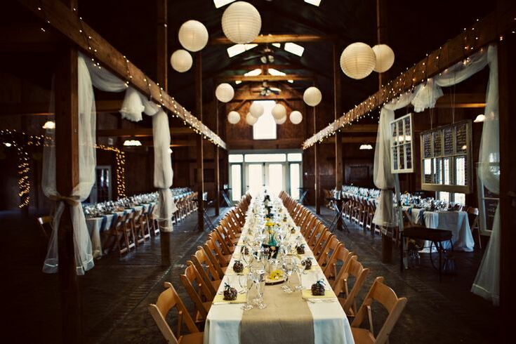 garden decoration, reception hall, food and wedding reception