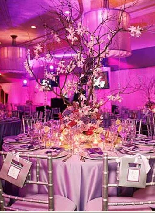 reception hall, garden decoration, food and wedding reception