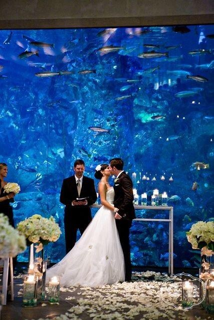 groom, water and ocean