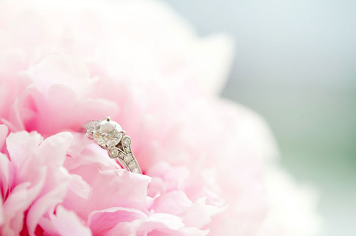 ring, peonie and style