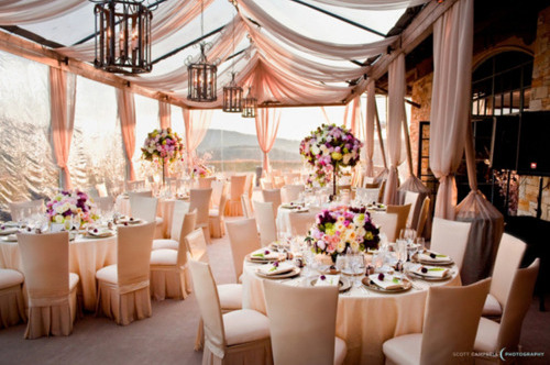 happiness, interior and party