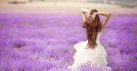 white, lilacs and pretty