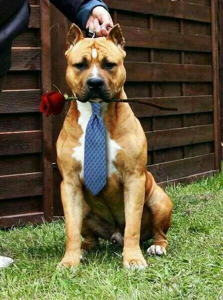 at wedding, need one and Hot
