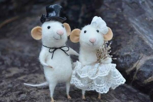 animals, couple and cute