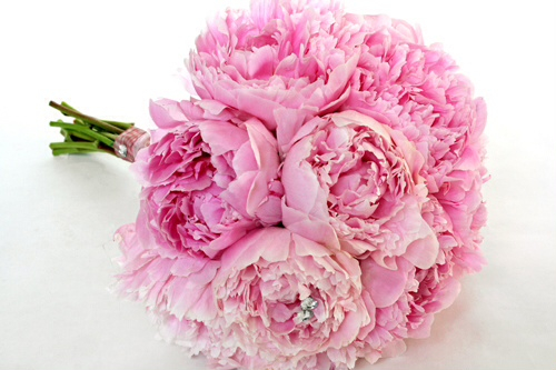 bröllopsbukett, rosa and peonies
