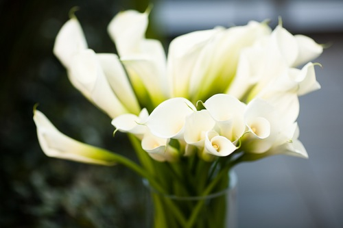 white, green and pink