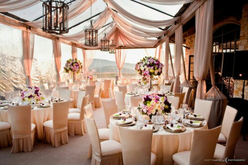 BCBG, banquete and frenchriviera