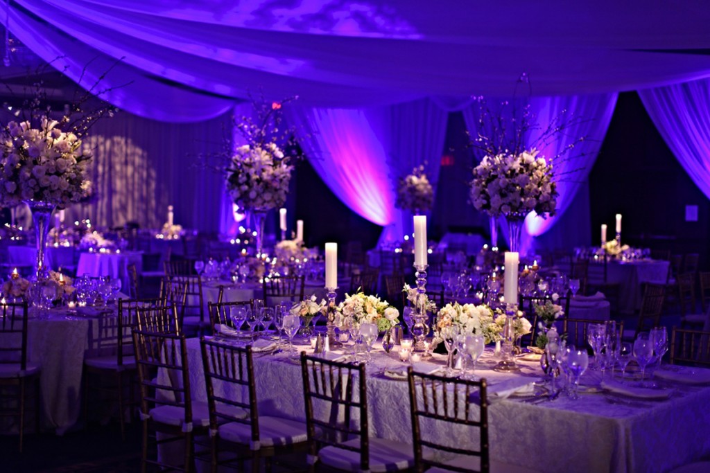 flowers, purple, display and venue