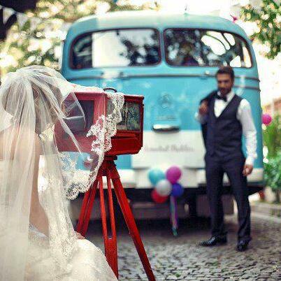 son in law, bride and love