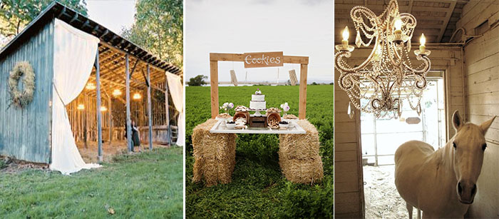themed wedding party and farm wedding