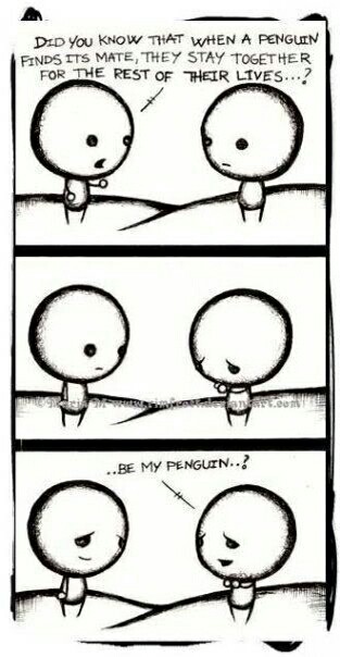 life, penguin and sweet