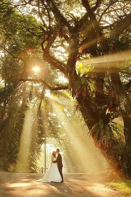 luz, dreams and novios