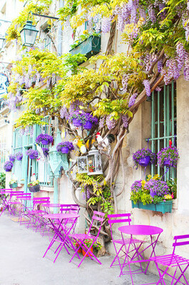 beuty, elegance and places