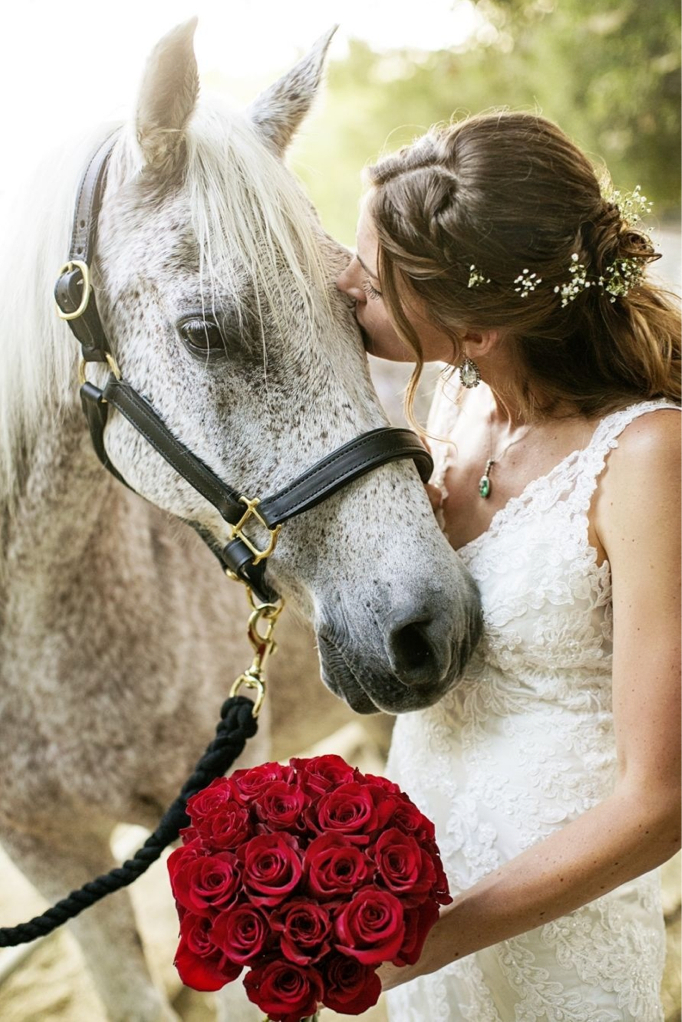 boda, horse, bridal and beautiful