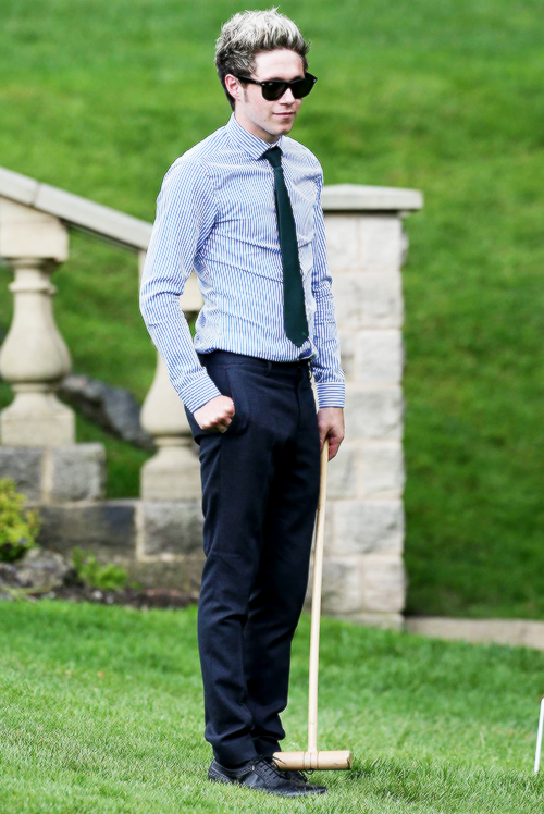 johanna'swedding, one direction and niall horan