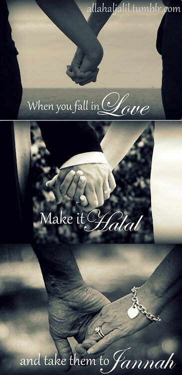 allah, muslims and hallal