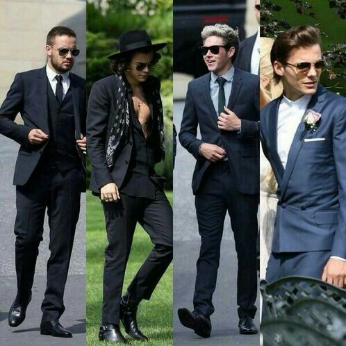 Harry Styles, liam payne, johanna & dan and louis tomlinson