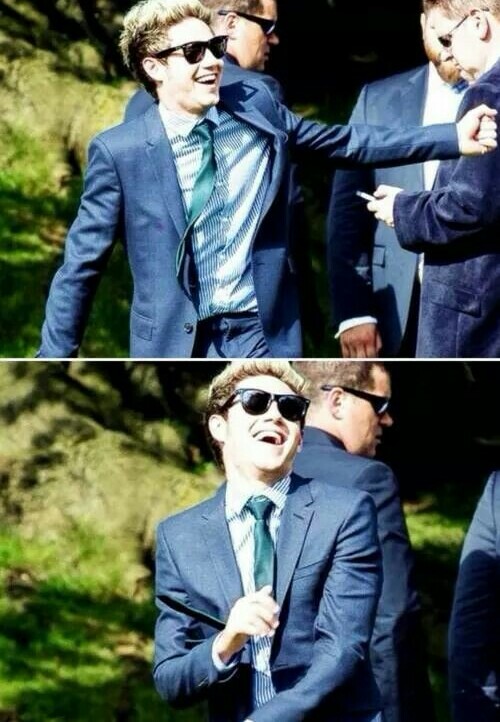 one direction, niall horan, 1d and horan