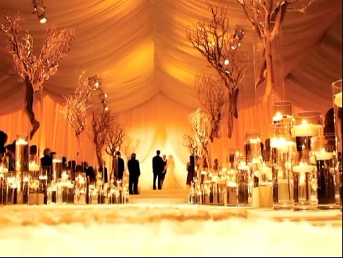 rentmywedding, lighting and uplighting
