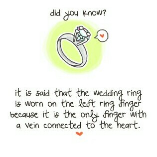 vein, ring and commitment