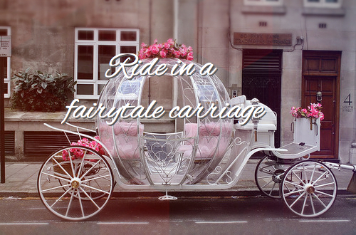 carriage, roses and fairytale