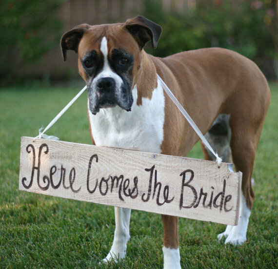 sign, dog, best friend and love