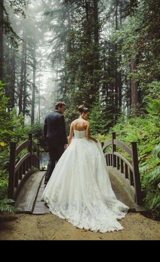 couple, nature, white and forest