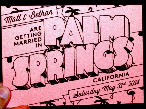 flamingo, palm tree and palm springs