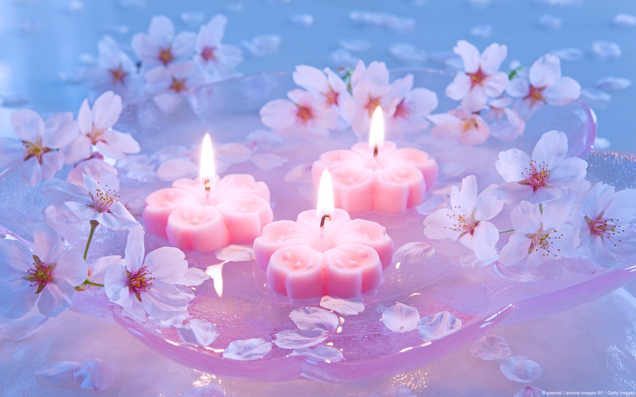 flowers, candle, japanese and ajpafm