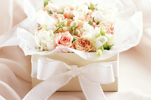 rose, wedding day and roses