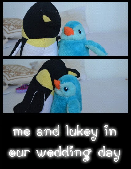 penguins, singer and 5sos