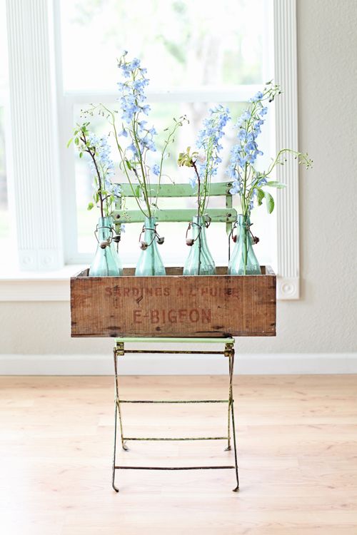 plants, blooms, blue and ideas